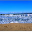 등명해변 이미지