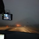 한라동물종합병원 | 제주도강아지슬개골탈구수술후기#사이노퀸영양제#한라동물종합병원