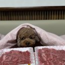 이마트24 홍성구항점 | [공지] 먹보의 생활