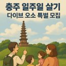 충주시청 민원봉사실 | 충주 일주일살기 : 다이브 오소 모집공고