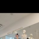 플라잉요가필라테스아카데미 네이버블로그