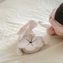 케이스낵