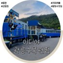 이디야광릉수목원점
