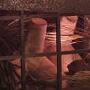 뮤지컬 청의 | 시절, 우리만의 아름다웠던 추억 소환! (끝나고 보자?) | 250430, 250601 뮤지컬 <컨택트> 2회차 관극 후기