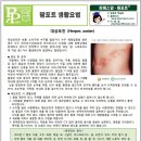 정인약품무역상사 이미지