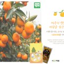 감귤바람
