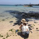 더 로쉐 이미지