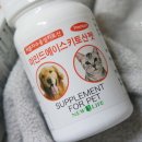 펫마인드 이미지