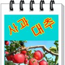 라온쇼핑몰