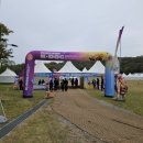 Show Dog | 25년 천안 k-dog페스티벌 후기