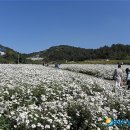금산인삼랜드(대전) 이미지