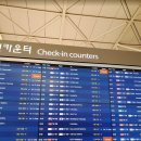 포할리데이 이미지