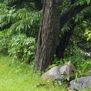 북면436 | [가평펜션]가평여행으로 수영장있는펜션티아모 다녀왔어요 :) 내돈내다녀온리얼후기