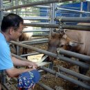 임씨네농장 이미지