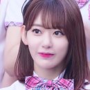 사쿠라