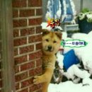 복