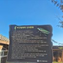 국가유산 체험학습지도사 | 경주 비단벌레전동차 탑승기 (feat. 첨성대, 계림, 월성이랑 교육) 국가유산 스탬프 투어