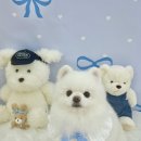 아멍띠에 이미지