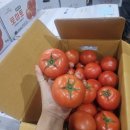 건강식품 GAP 인증 완숙토마토!!!! 이미지