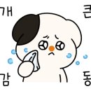 멍블리즈 이미지