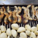 장수장어 이미지