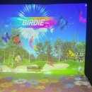 이글 스크린(실내-스크린) 이미지