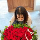 블랑-메이 이미지