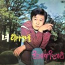 울고 싶어 우는 마음 / 이영숙 (1970 금지사유 : 가사 방송부적) 이미지