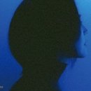 프롬미니