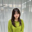 나영파크 이미지