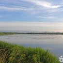 아라메길 (도비마루길) 이미지