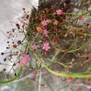 숙이농장 이미지