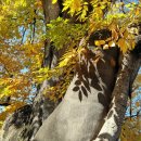 현동면사무소2 이미지