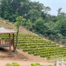 고인목장 이미지