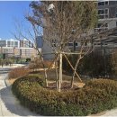 세교탑공인중개사사무소 이미지