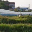 향원농장 이미지