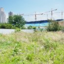 양덕동567 이미지