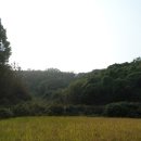 문산읍-6 이미지