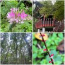 장수초등학교 | 걷기일상 - 신정산둘레길