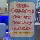 김실장포차 | 청주봉명동횟집 대하구이 맛집 | 회뜨는 김실장