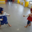 선행태권도 이미지