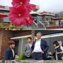 동백도