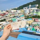 비비디자인, 평범한 명함은 싫어서 2배 크게 만들었습니다! 명함제작 후기+가격 (디자인비 무료)