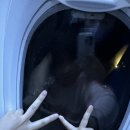 5살 아이랑 태국+파타야 여행 / 밤비행 수완나품 공항에서 파타야 가는법 - 박군투어 차량예약