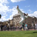 세계로 국제태권도 이미지