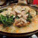 용현동물텀벙이거리 이미지