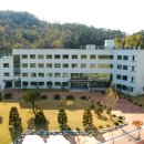 금오 태양광발전소 이미지