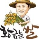 황금잡곡 이미지