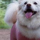 한계2리 이미지