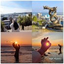 버스정류장 07-717 | 새해 일출명소 포항 여행코스 호미곶 구룡포 외 국내 무박 버스여행